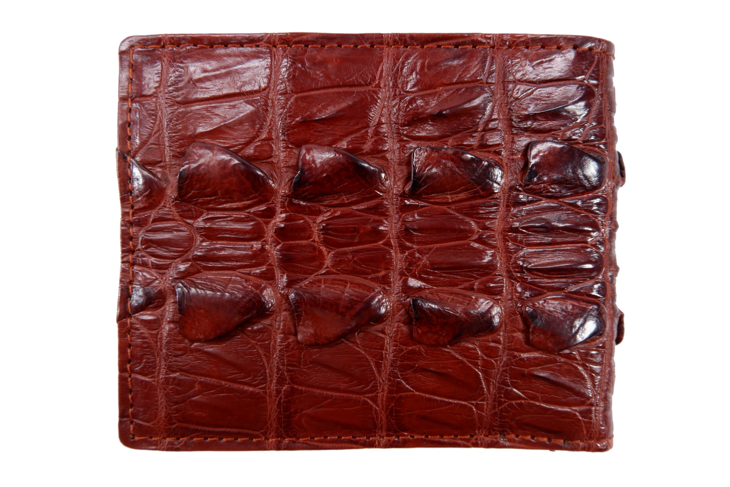 Genuine Crocodile Tail Skin Leather Bifold Wallet with Crocodile Skin Interior