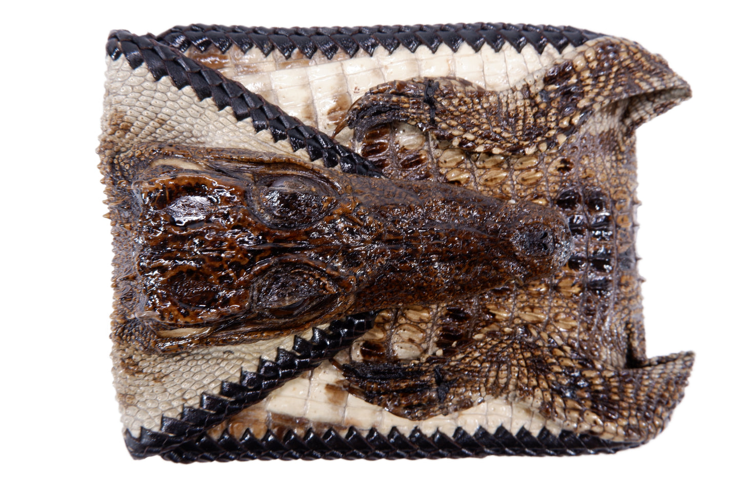 Genuine Crocodile Full Skin with Head Leather Handmade Bifold Wallet