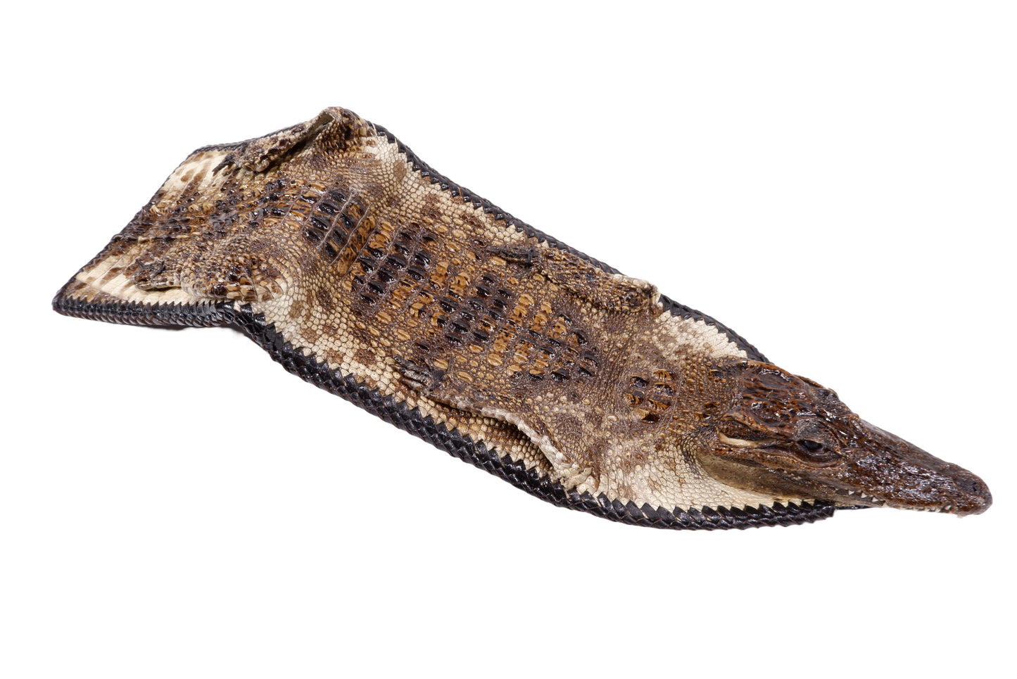 Genuine Crocodile Full Skin with Head Leather Handmade Bifold Wallet