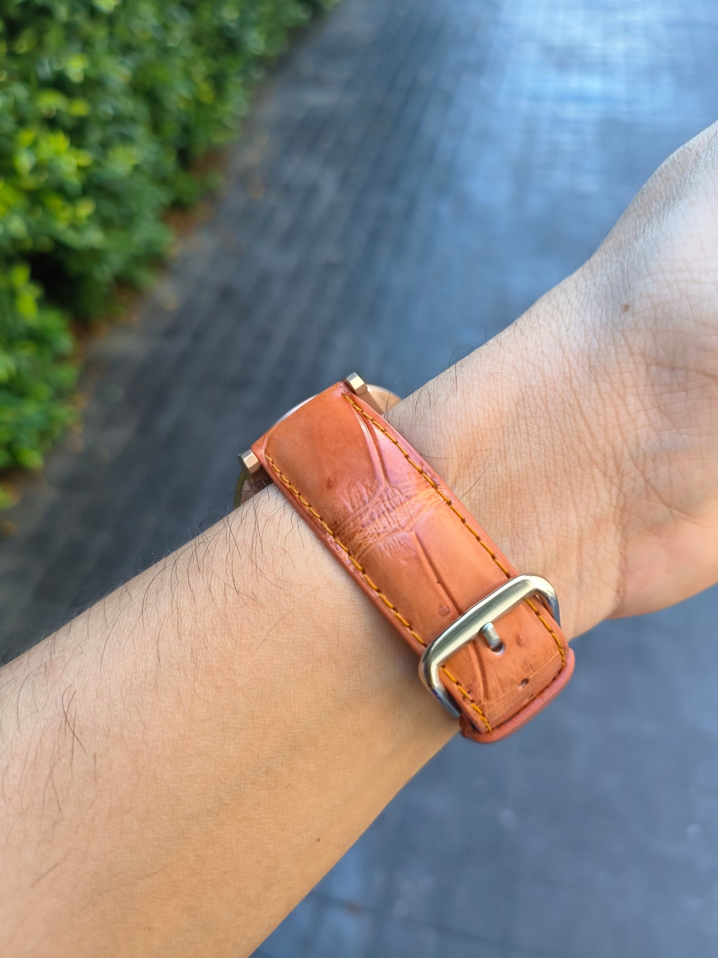 Genuine Crocodile Belly Skin Leather Quick Release Watch Strap Brown Band with Buckle