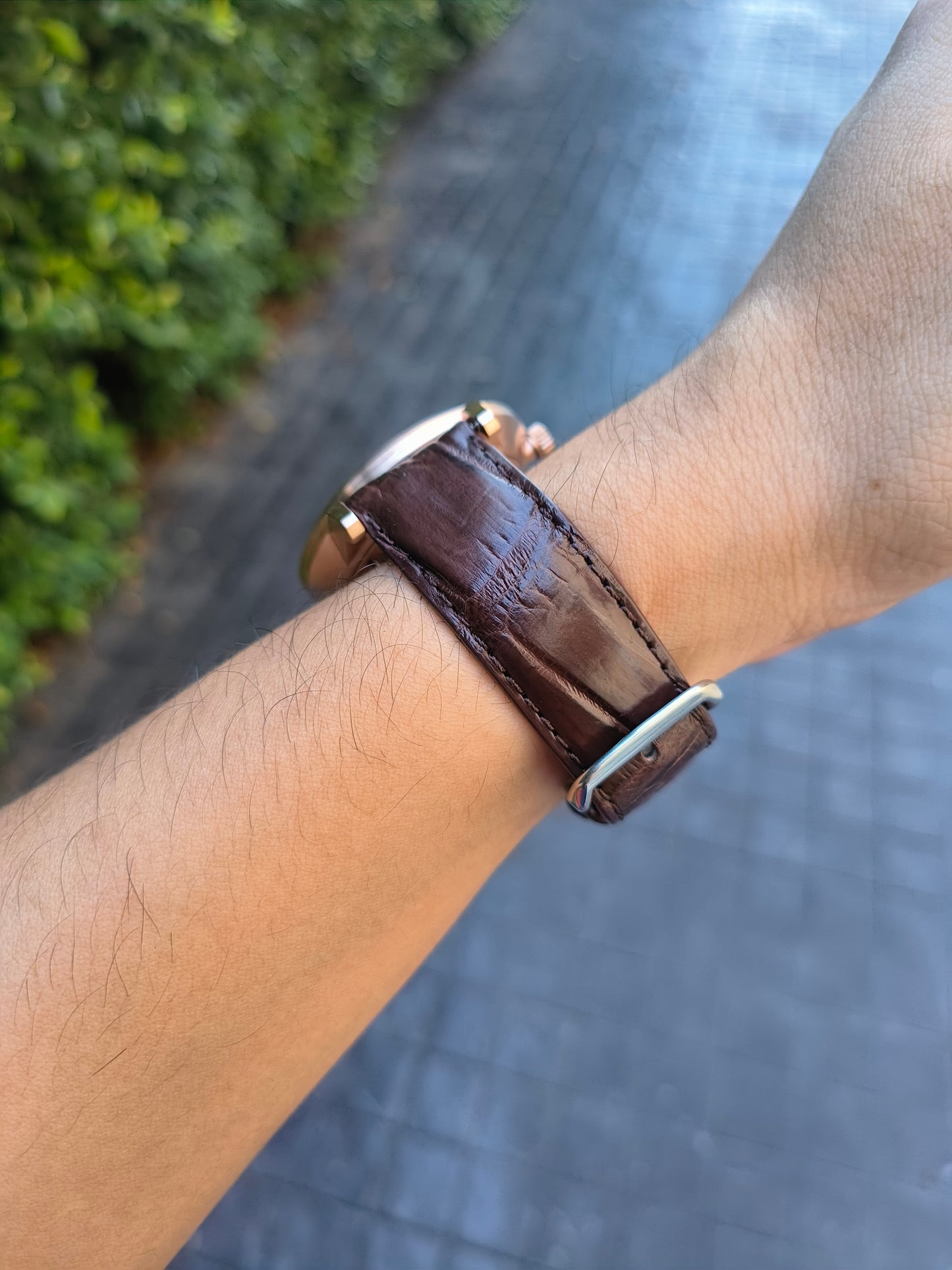 Genuine Crocodile Belly Skin Leather Quick Release Watch Strap Brown Band with Buckle