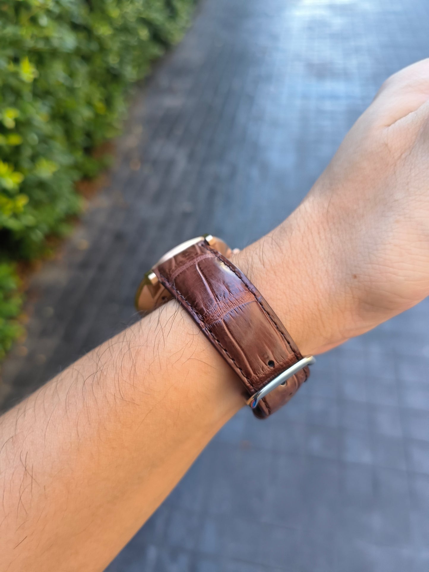 Genuine Crocodile Belly Skin Leather Quick Release Watch Strap Brown Band with Buckle