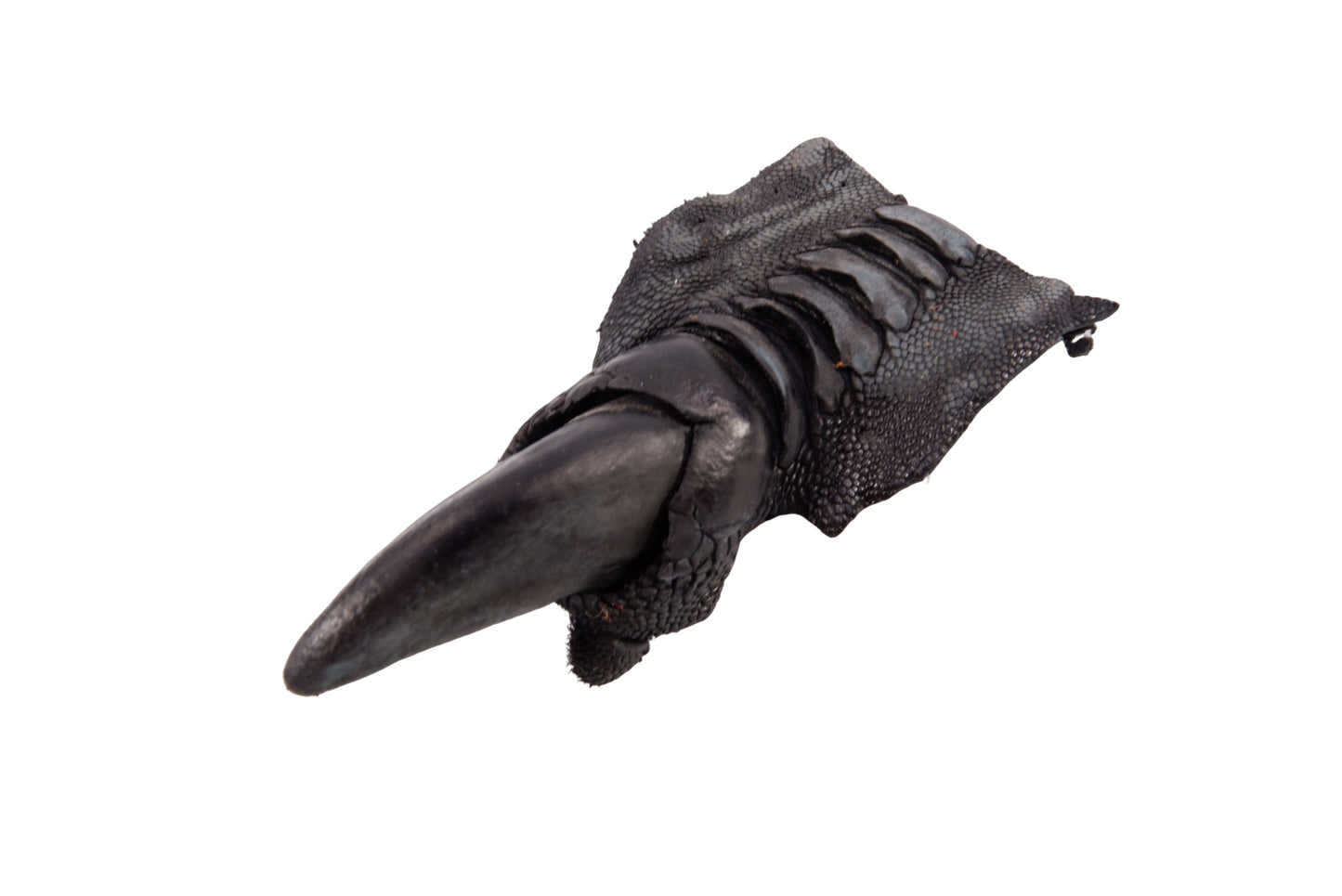 Genuine Ostrich Nail Claw Skin Leather Hide Pelt