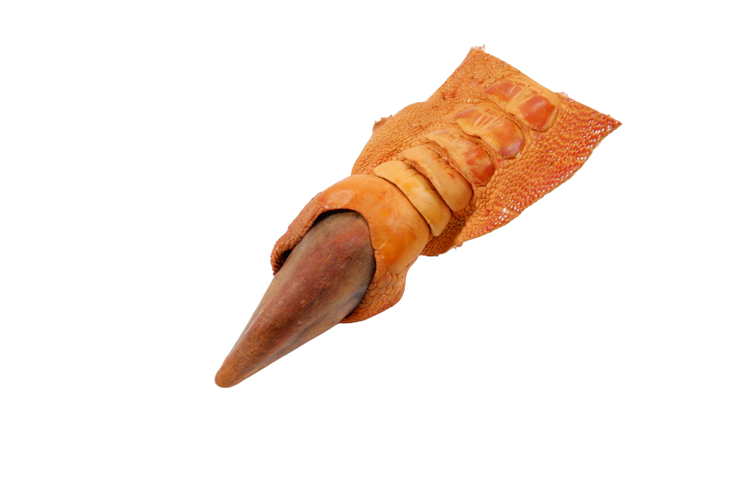 Genuine Ostrich Nail Claw Skin Leather Hide Pelt