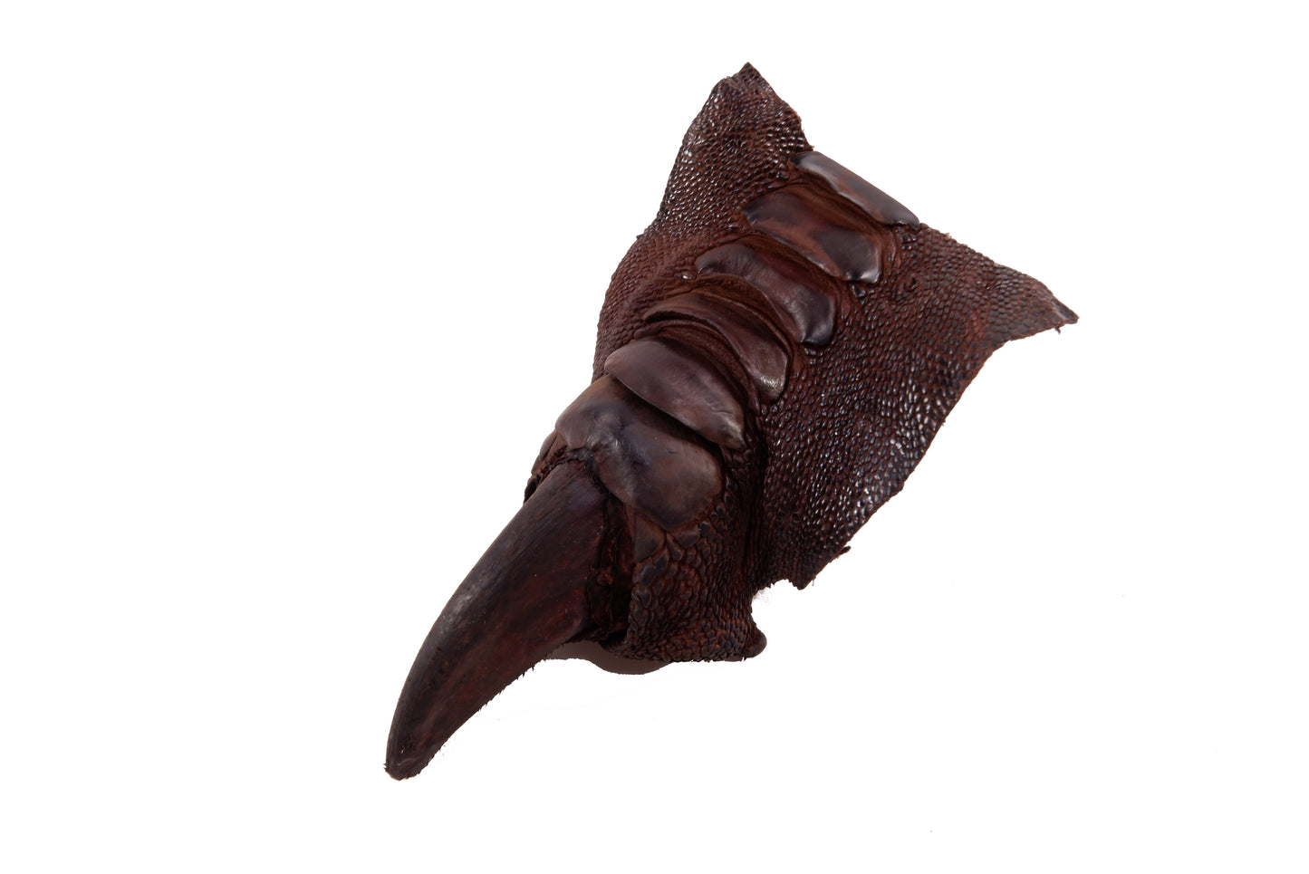 Genuine Ostrich Nail Claw Skin Leather Hide Pelt