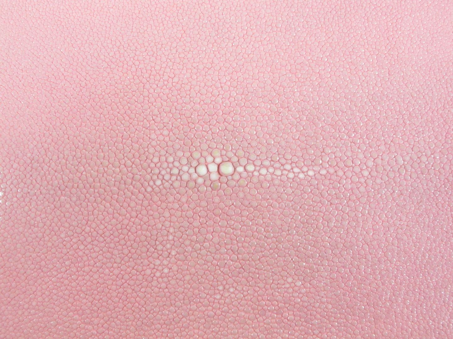 Genuine Polished Stingray Skin Leather Round Shape Hide Pelt