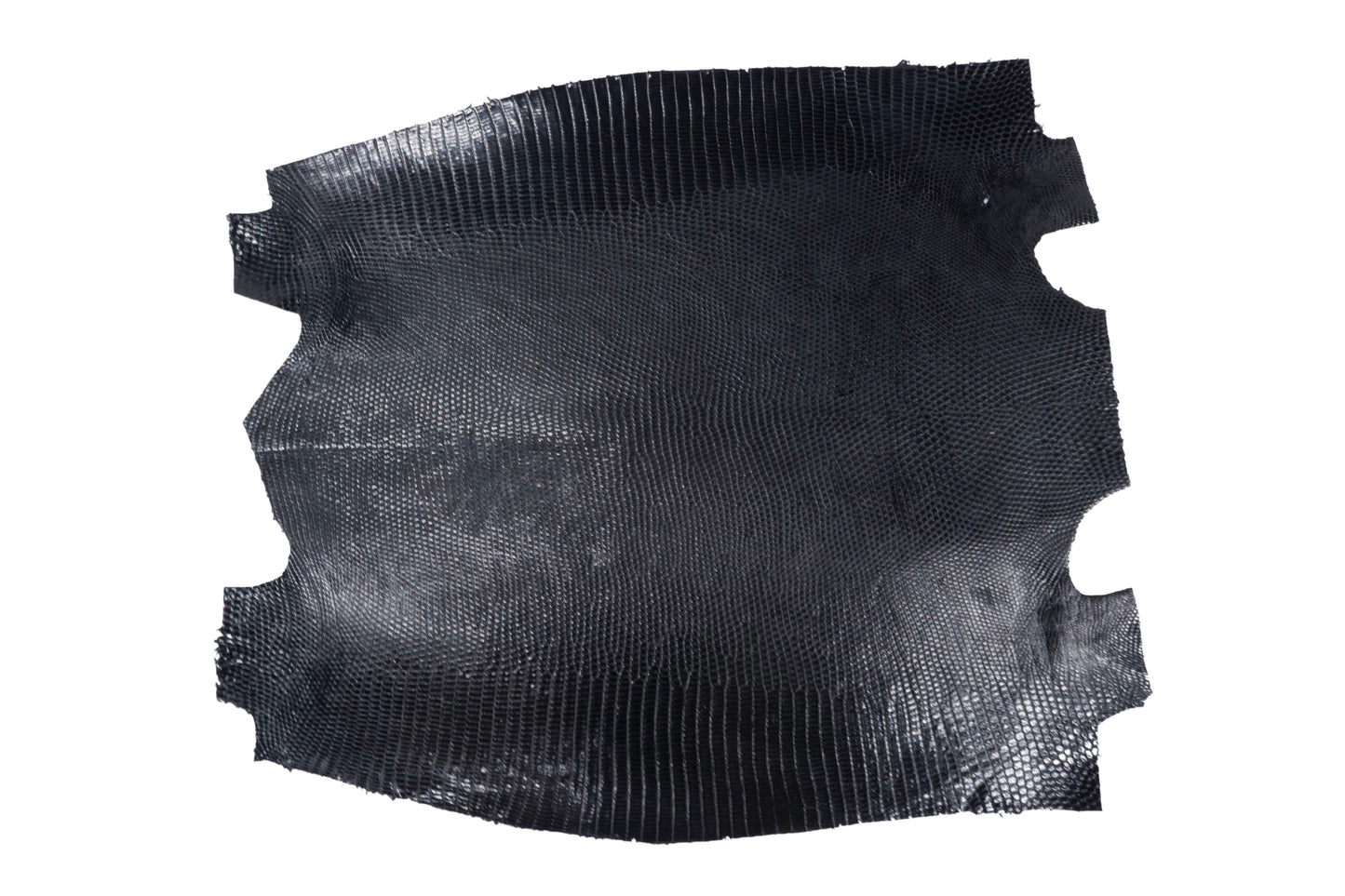 Genuine Water Monitor Lizard Skin Leather Hide Pelt