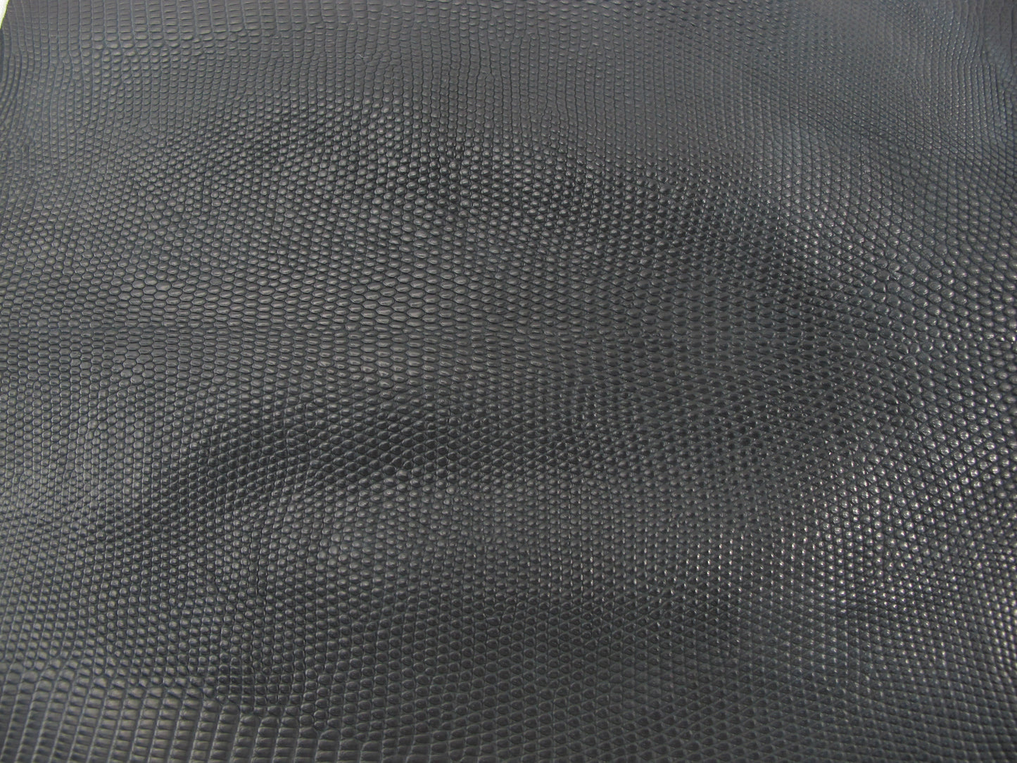 Genuine Water Monitor Lizard Skin Leather Hide Pelt