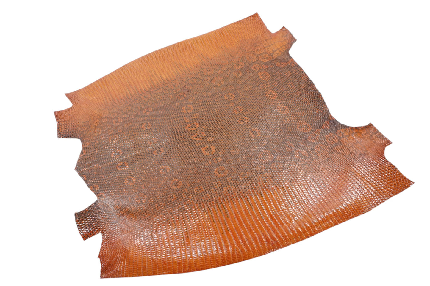 Genuine Water Monitor Lizard Skin Leather Hide Pelt