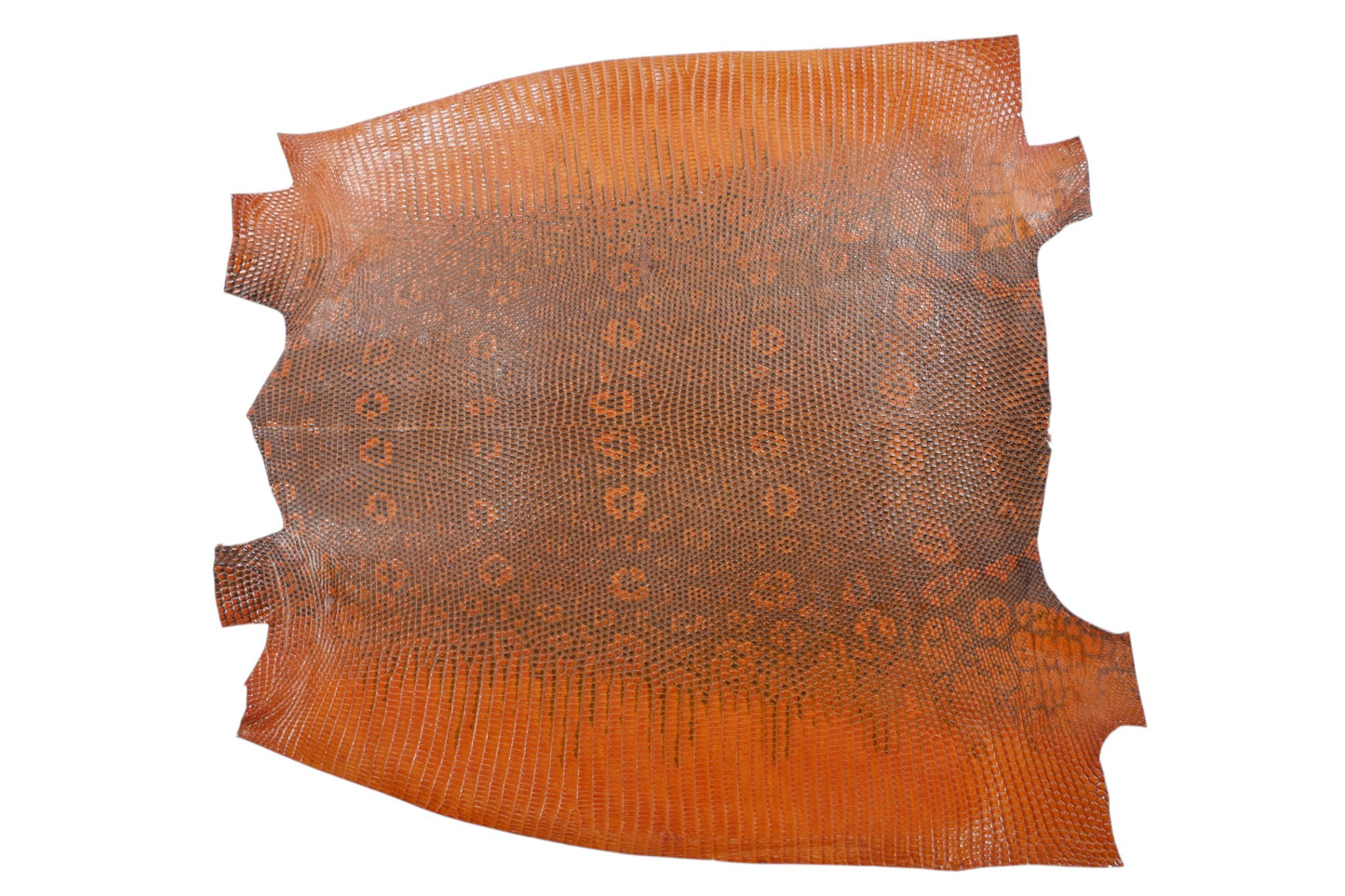 Genuine Water Monitor Lizard Skin Leather Hide Pelt