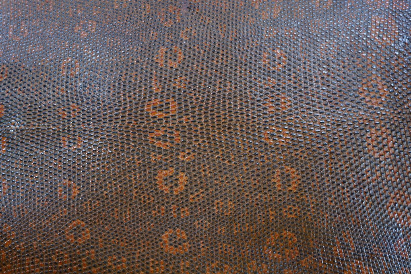 Genuine Water Monitor Lizard Skin Leather Hide Pelt