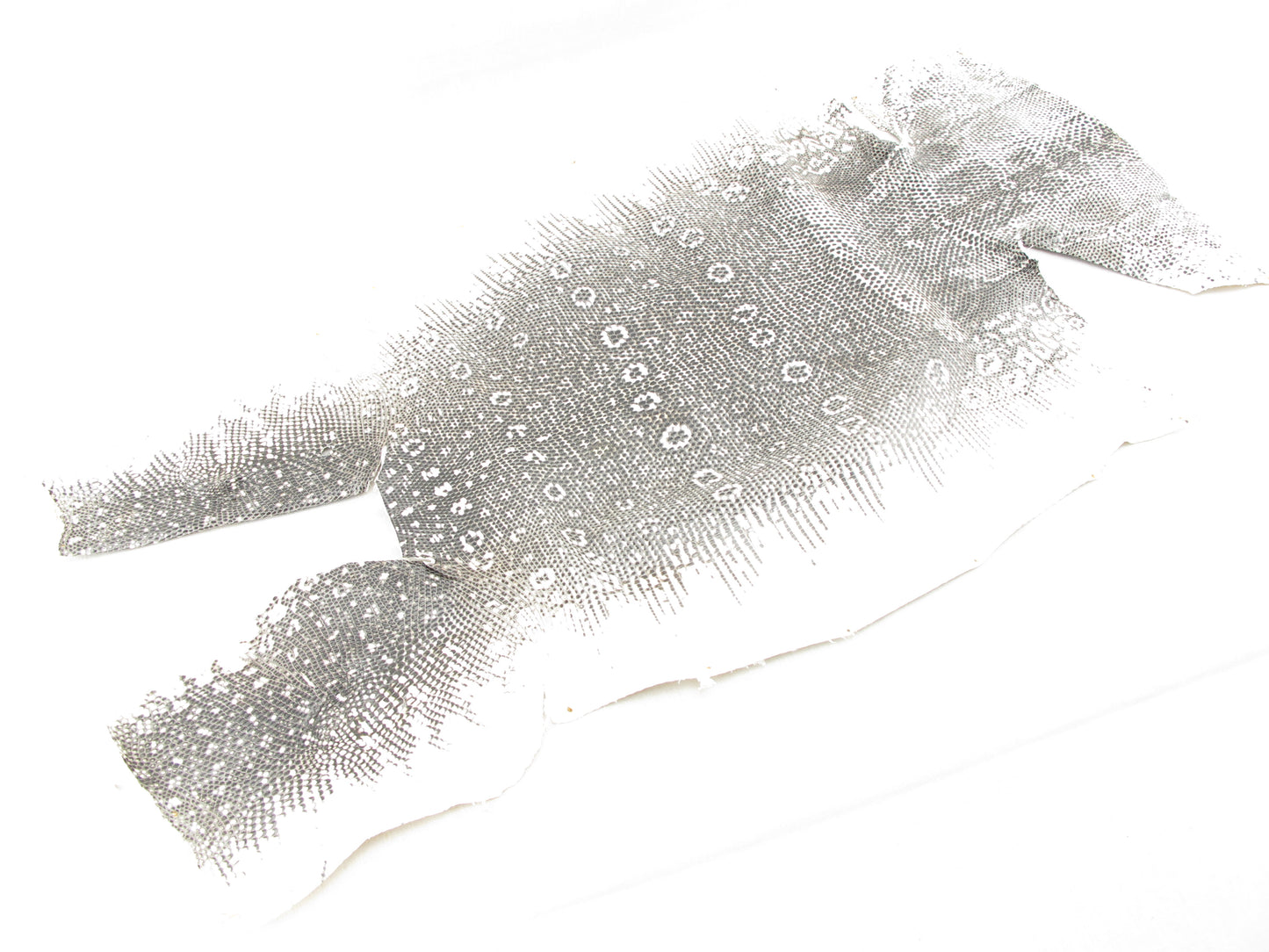 Genuine Water Monitor Lizard Skin Leather Hide Pelt