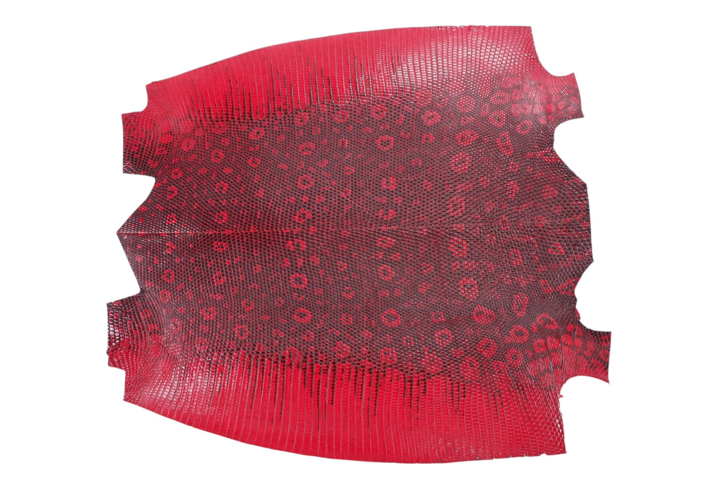 Genuine Water Monitor Lizard Skin Leather Hide Pelt