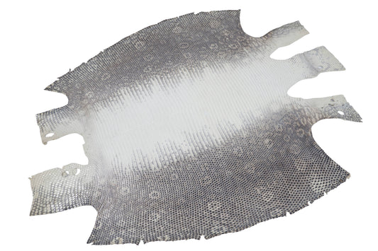 Genuine Water Monitor Lizard Belly Skin Leather Hide Pelt Natural