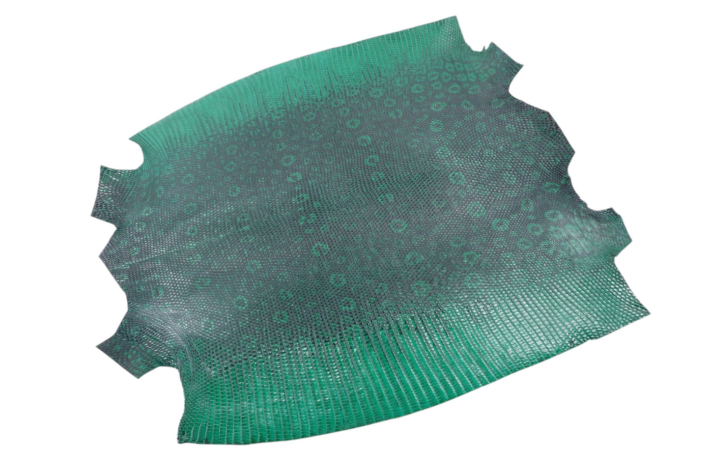 Genuine Water Monitor Lizard Skin Leather Hide Pelt