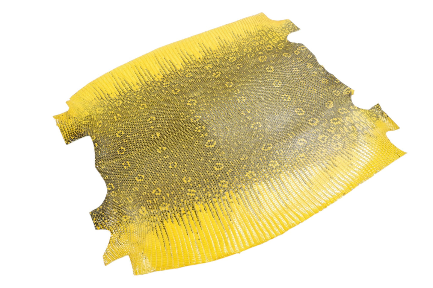Genuine Water Monitor Lizard Skin Leather Hide Pelt