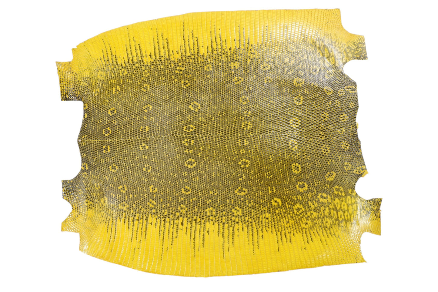 Genuine Water Monitor Lizard Skin Leather Hide Pelt