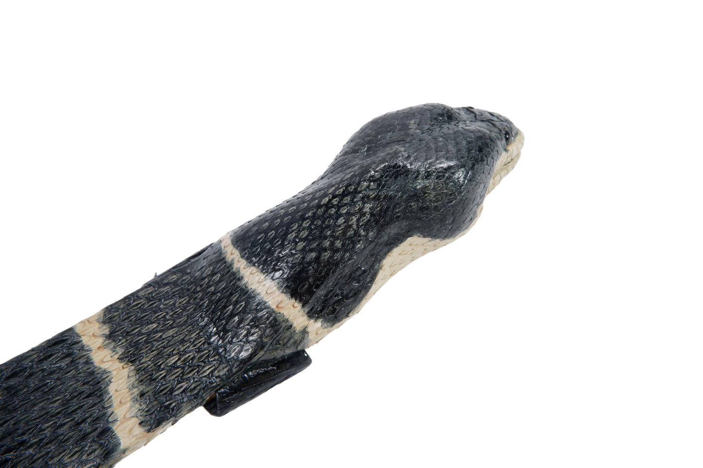 Genuine Mangrove Snake Skin with Head Leather Dress Belt