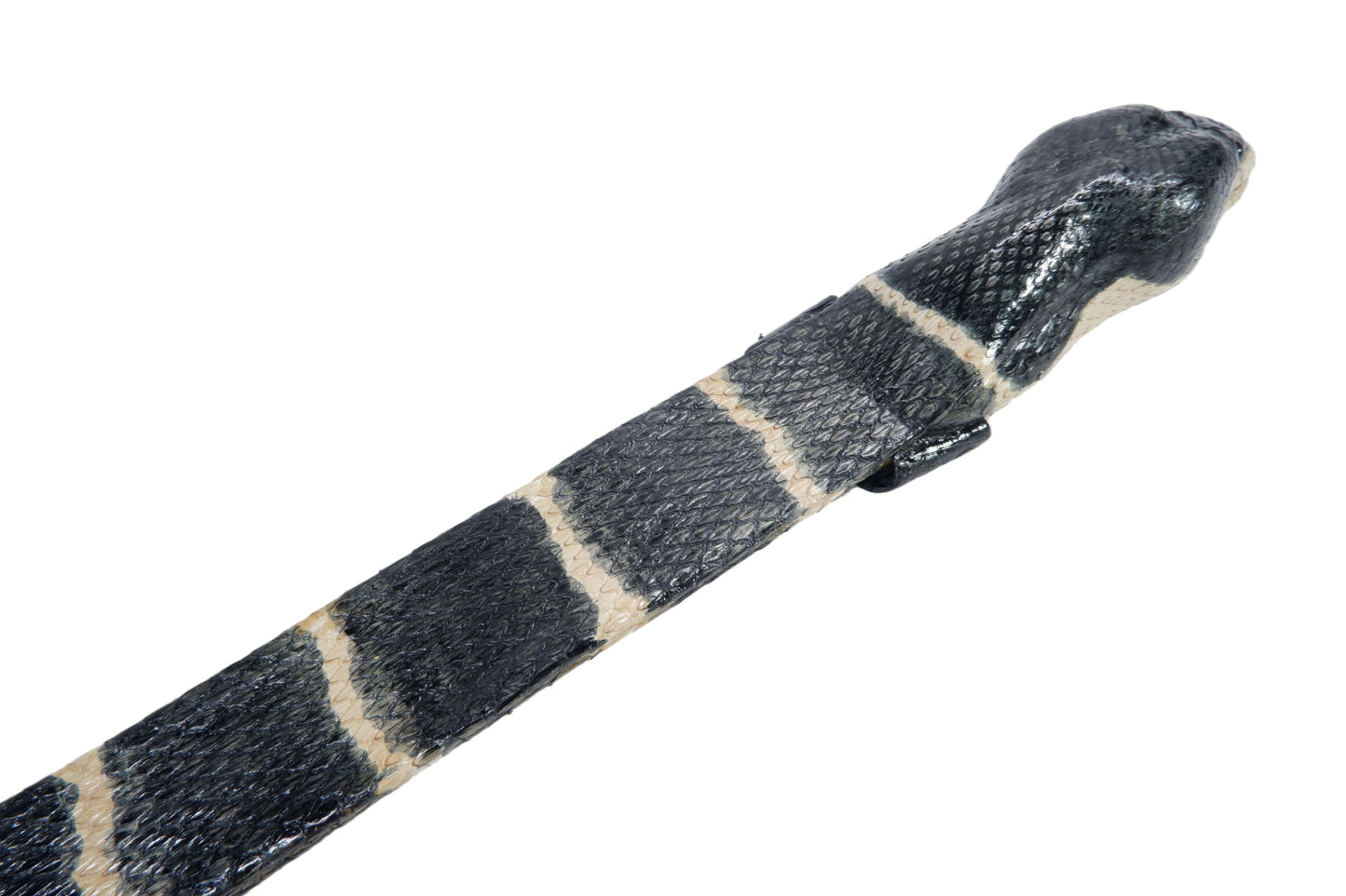 Genuine Mangrove Snake Skin with Head Leather Dress Belt