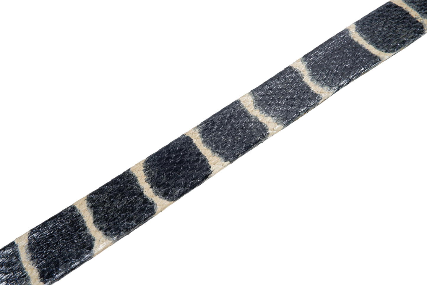 Genuine Mangrove Snake Skin with Head Leather Dress Belt
