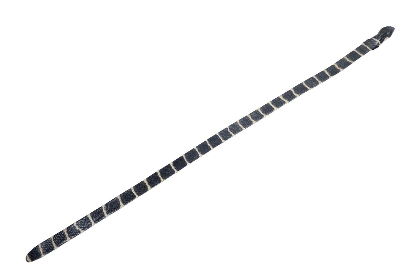 Genuine Mangrove Snake Skin with Head Leather Dress Belt