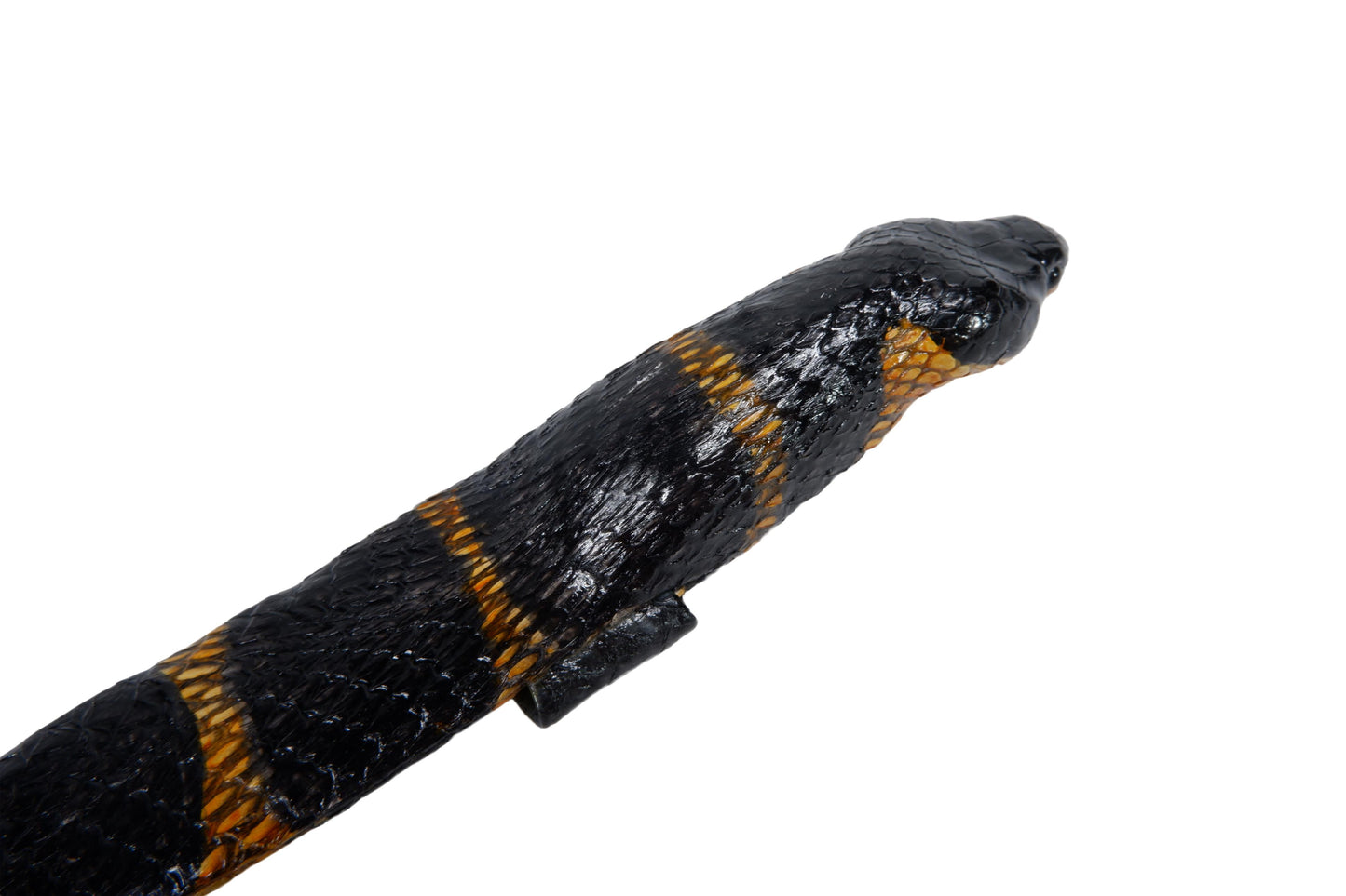 Genuine Mangrove Snake Skin with Head Leather Dress Belt