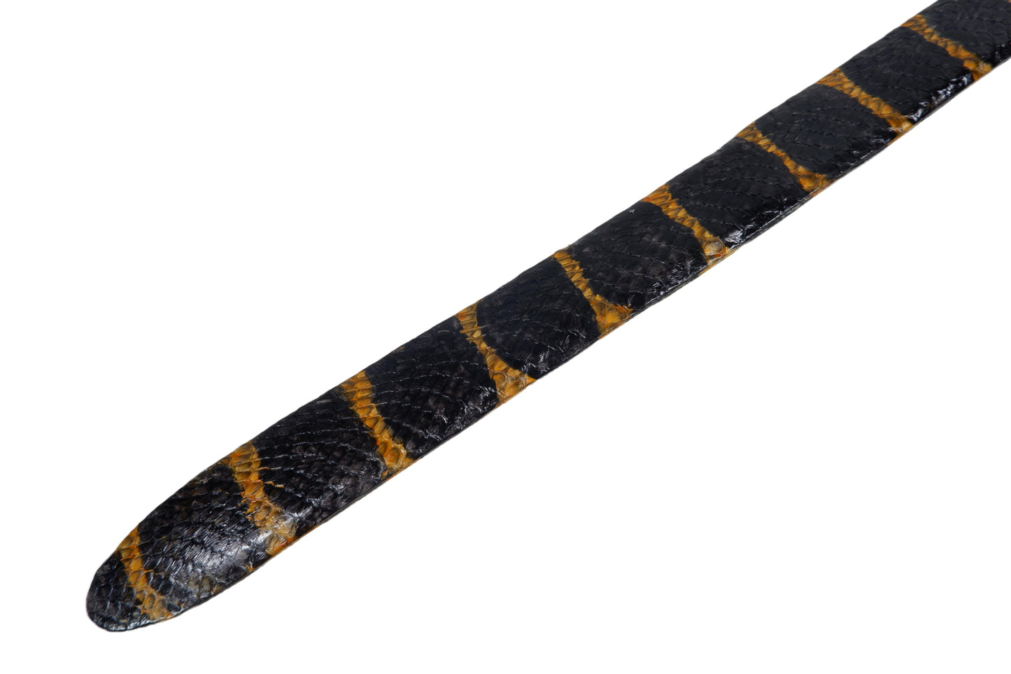 Genuine Mangrove Snake Skin with Head Leather Dress Belt