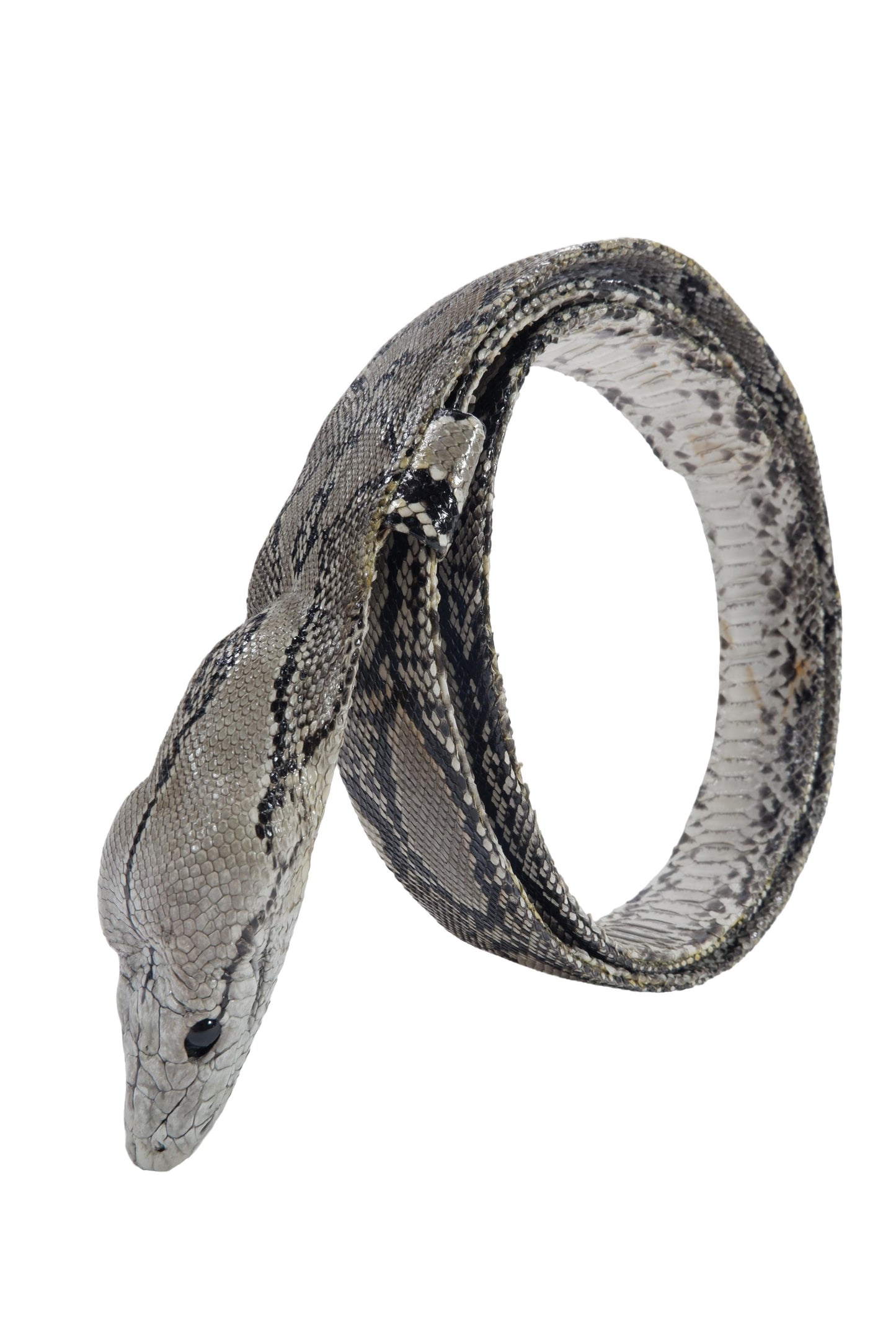 Genuine Python Snake Skin with Head Leather Dress Belt