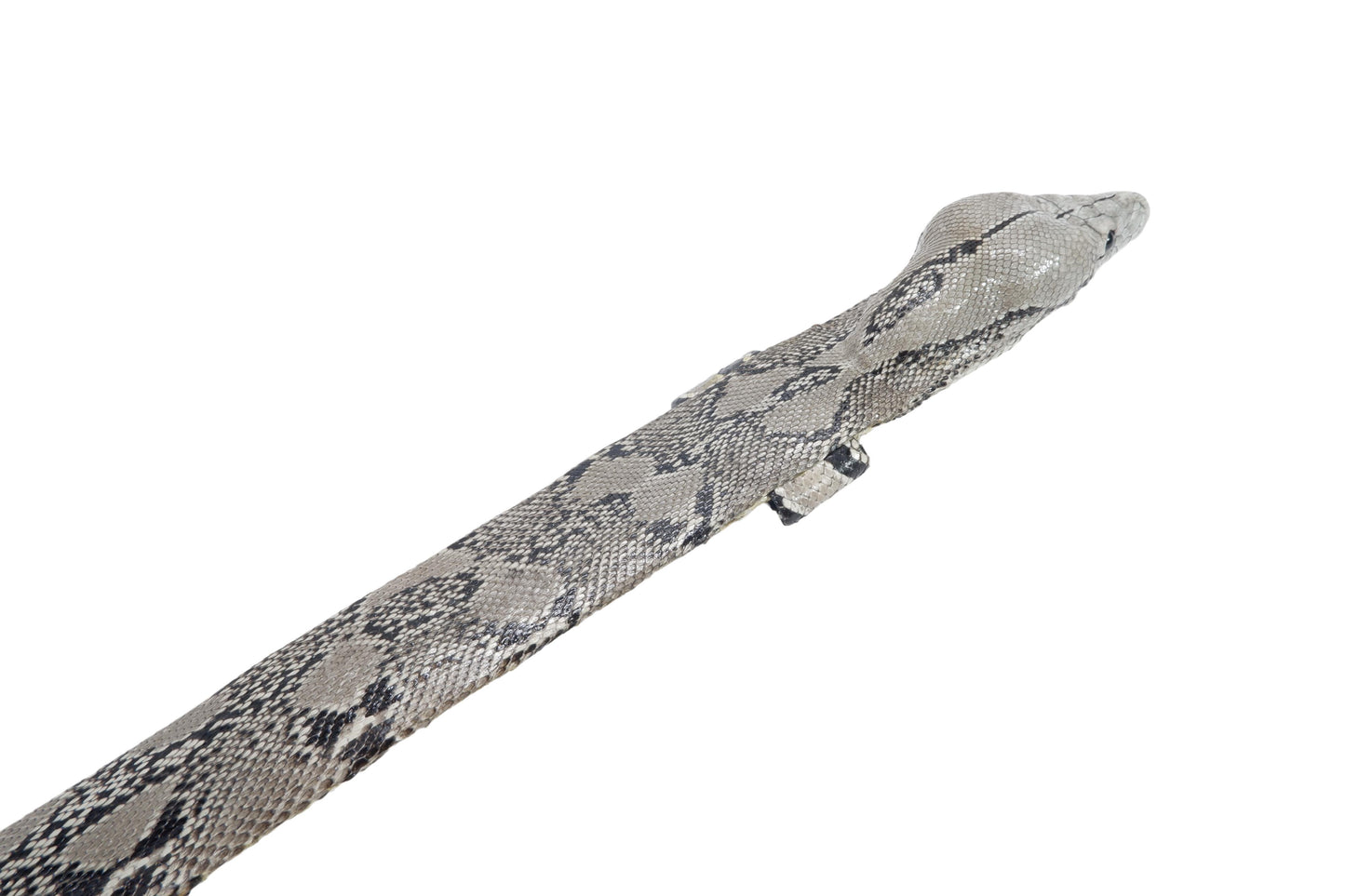 Genuine Python Snake Skin with Head Leather Dress Belt