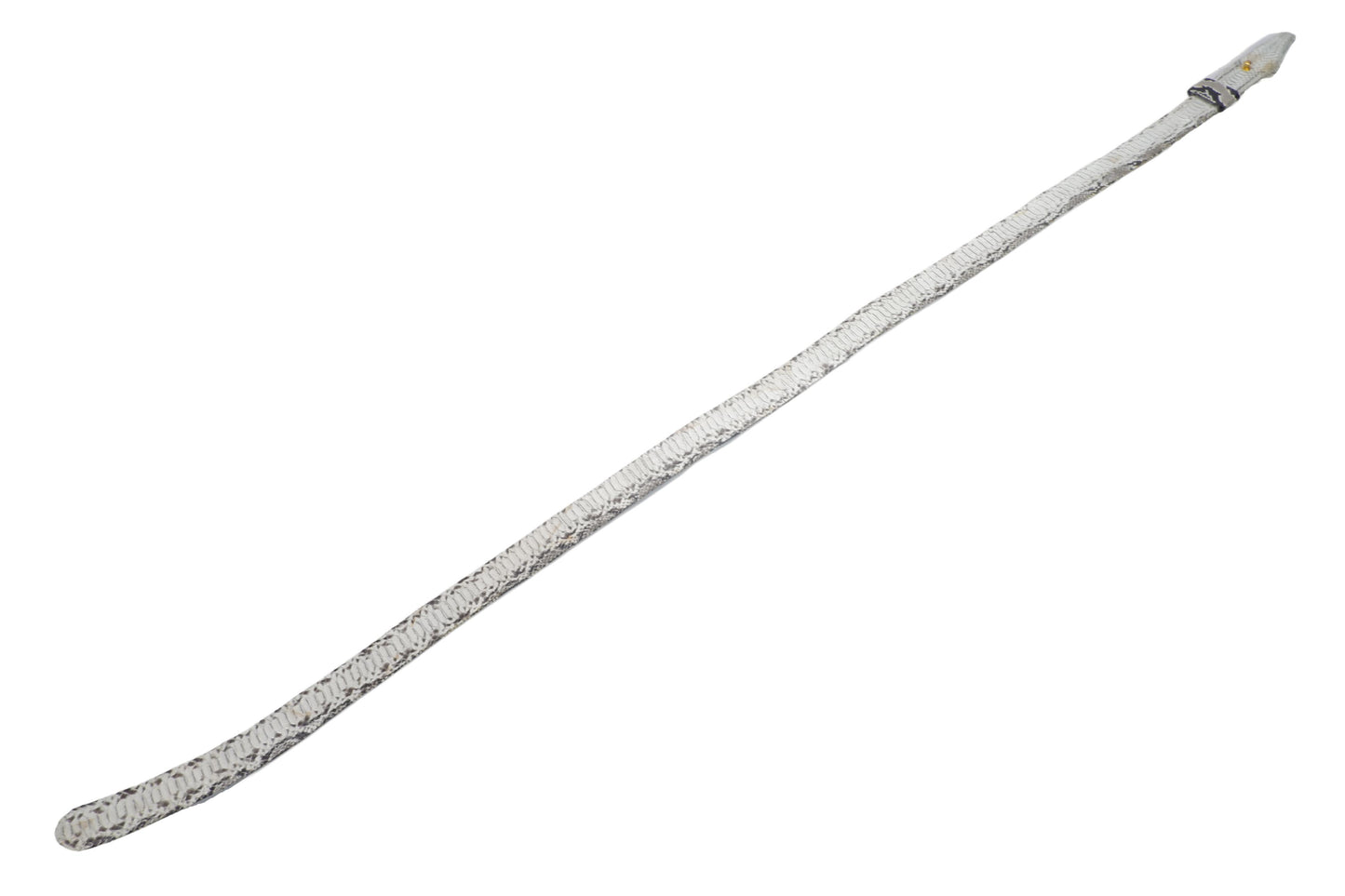 Genuine Python Snake Skin with Head Leather Dress Belt