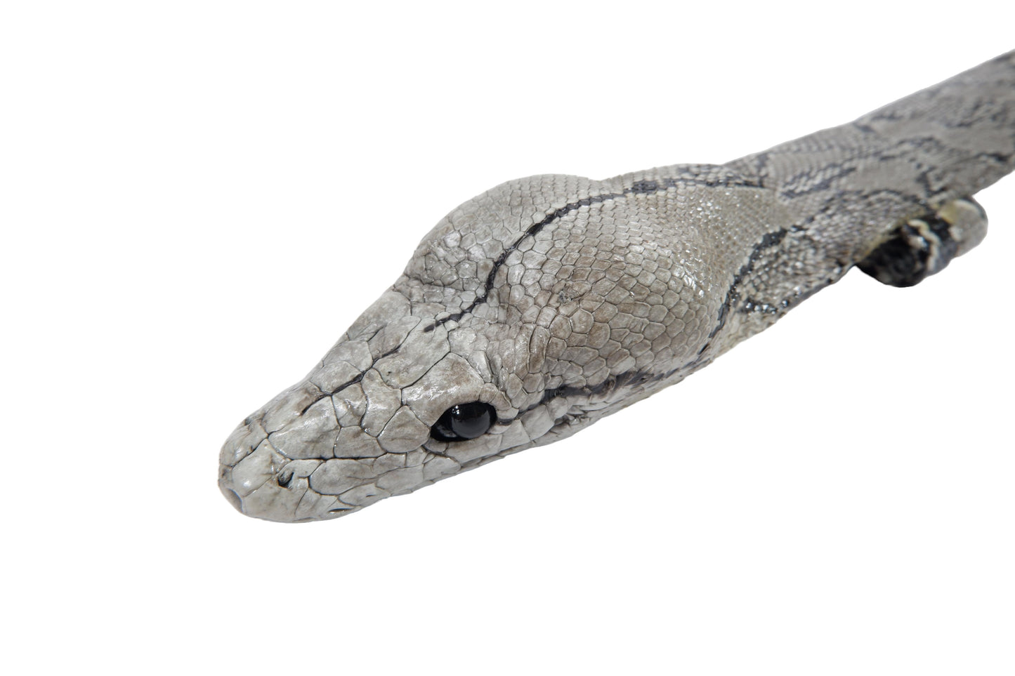 Genuine Python Snake Skin with Head Leather Dress Belt