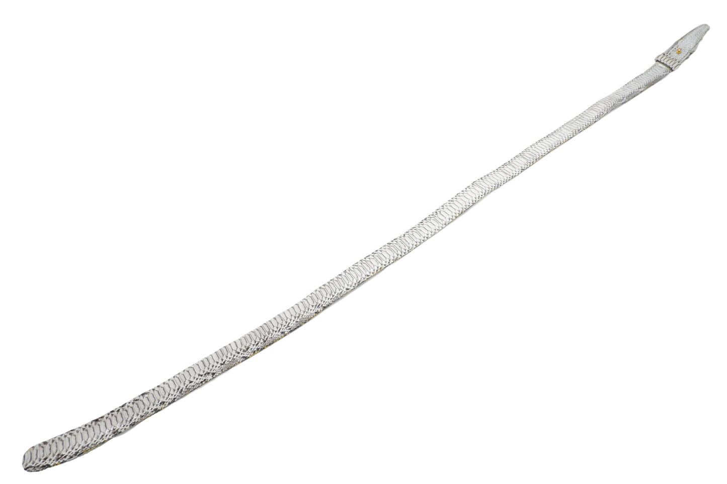 Genuine Python Snake Skin with Head Leather Dress Belt