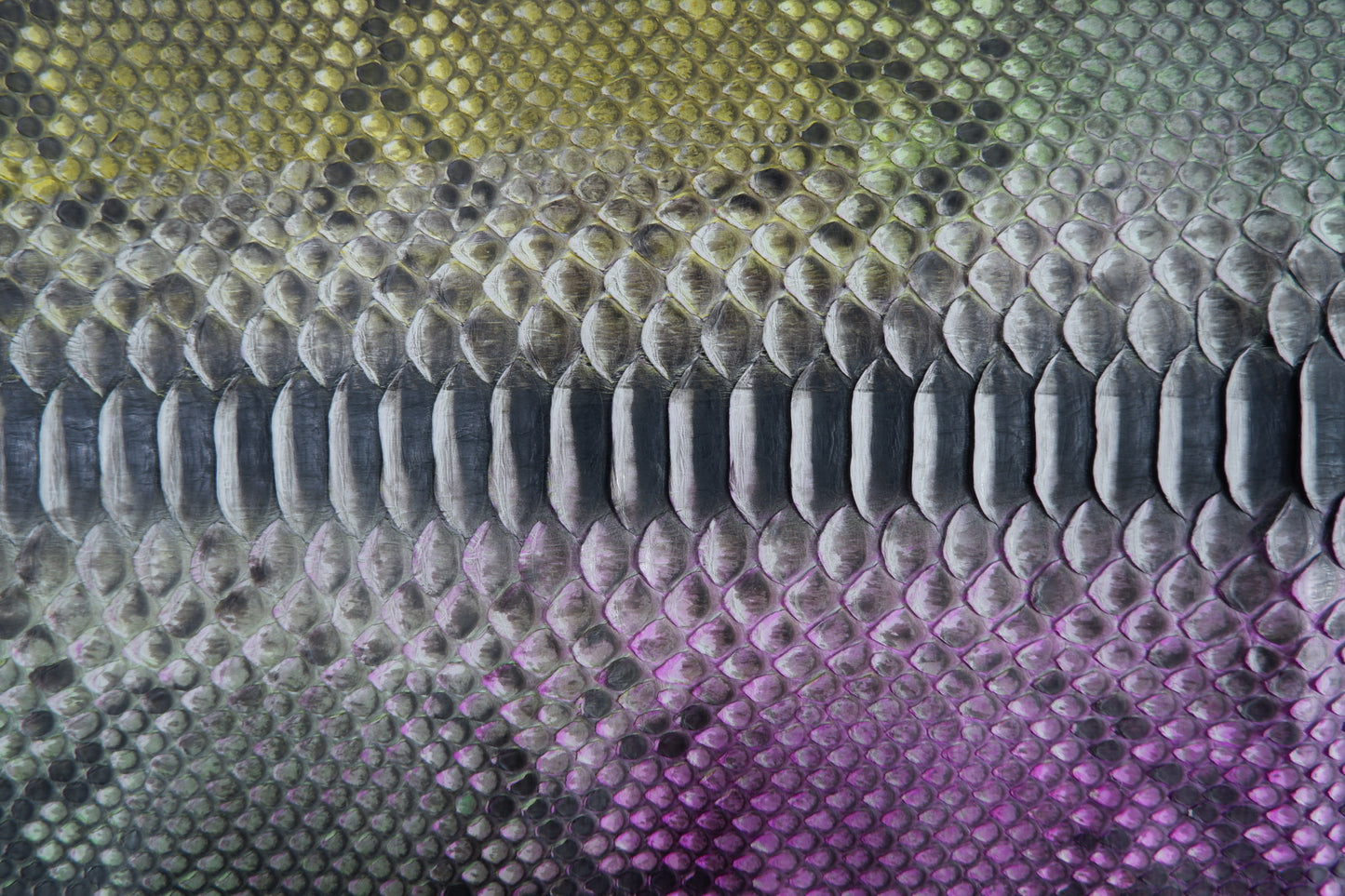 Genuine Reticulated Python Belly Skin Leather Hide Pelt Pink Green & Yellow