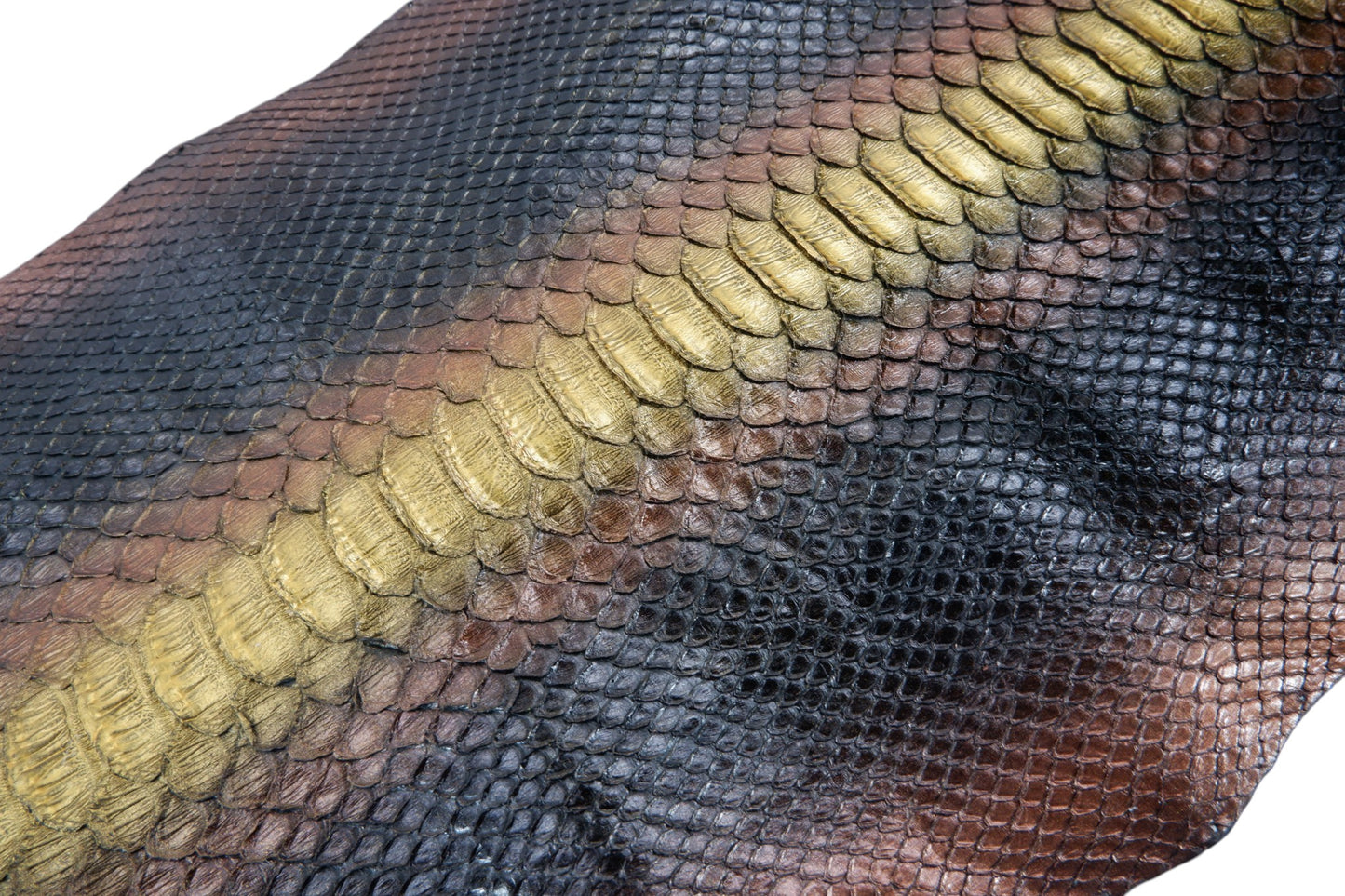 Genuine Reticulated Python Belly Skin Leather Hide Pelt Black Copper & Gold