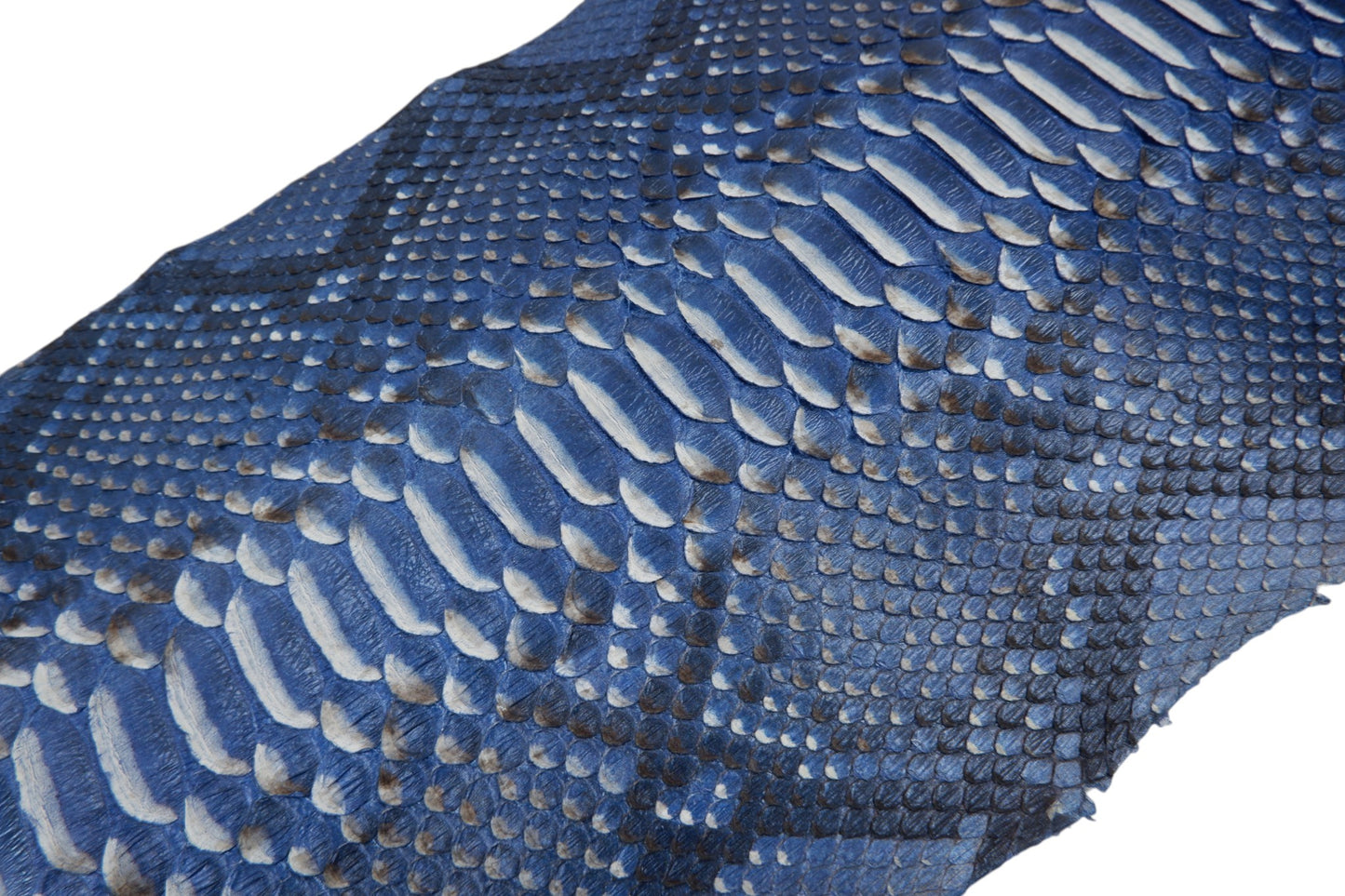 Genuine Reticulated Python Belly Skin Leather Hide Pelt Natural Cobalt Blue