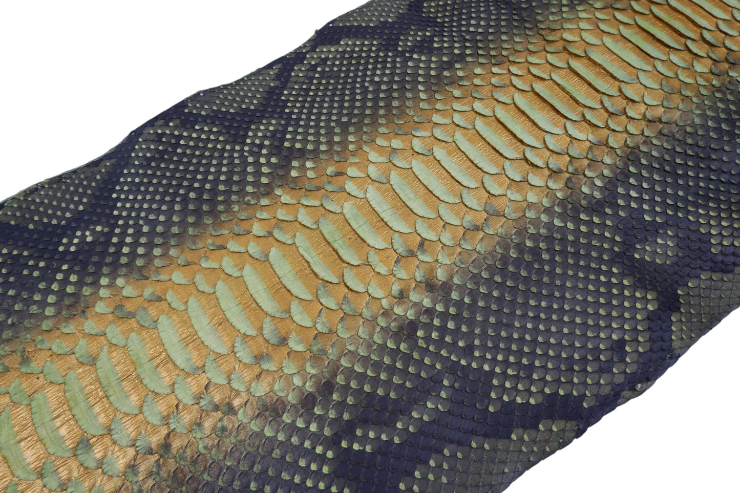 Genuine Reticulated Python Belly Skin Leather Hide Pelt Natural Golden Green