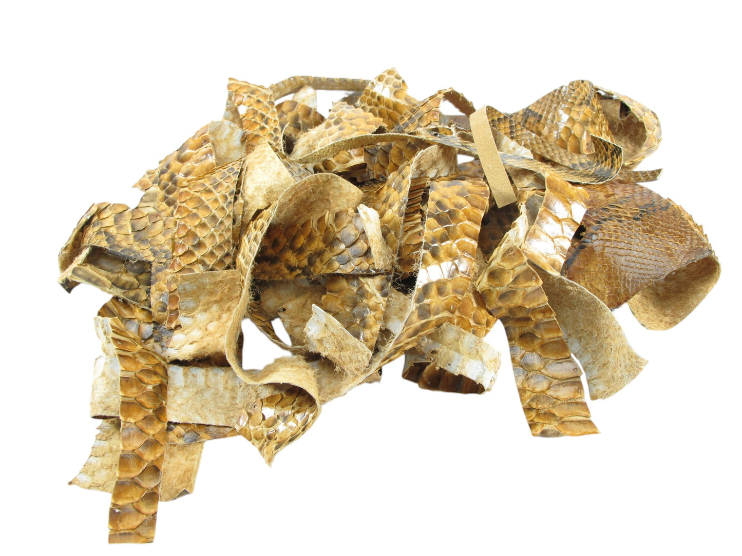Genuine Python Snake Skin Leather Scraps Hide Pelt 100 grams