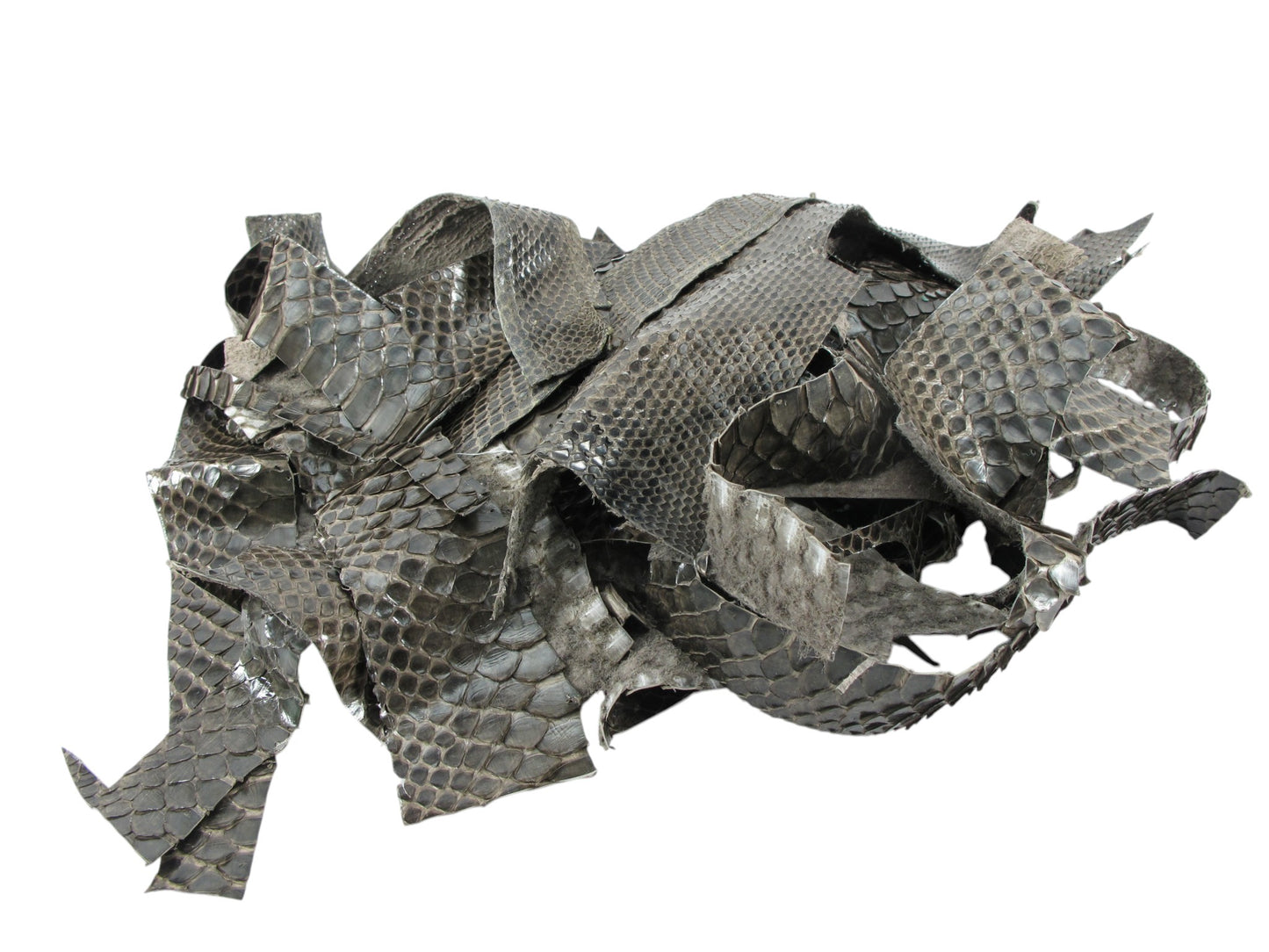 Genuine Python Snake Skin Leather Scraps Hide Pelt 100 grams