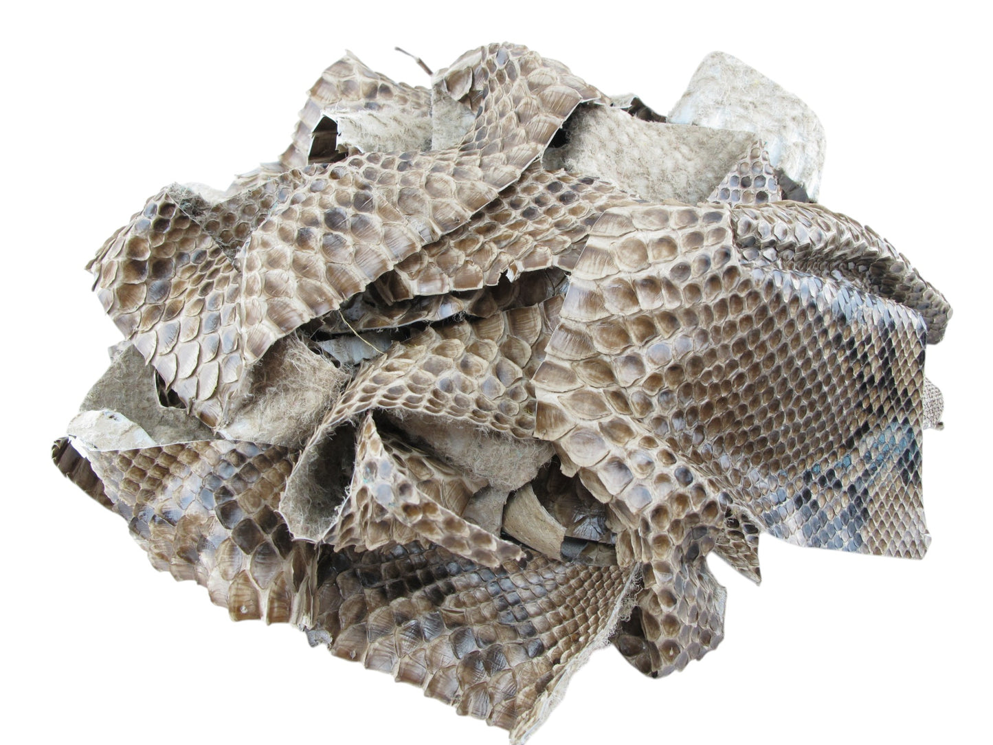 Genuine Python Snake Skin Leather Scraps Hide Pelt 100 grams