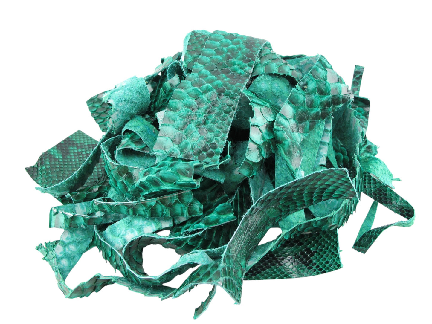 Genuine Python Snake Skin Leather Scraps Hide Pelt 100 grams