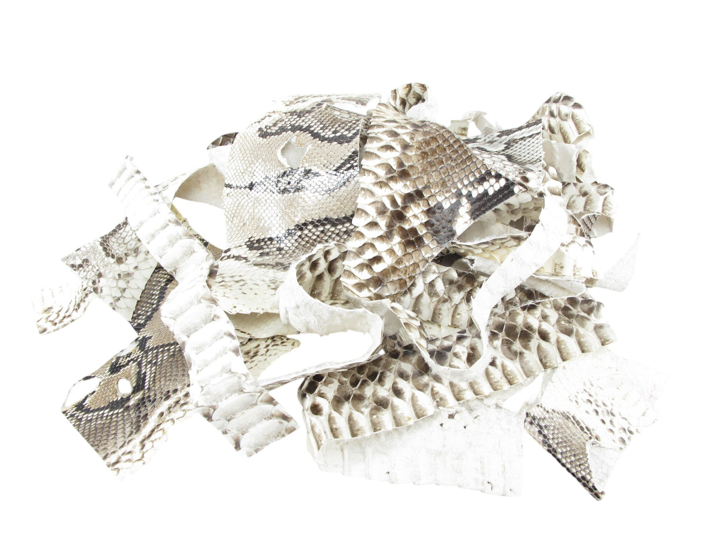 Genuine Python Snake Skin Leather Scraps Hide Pelt 100 grams