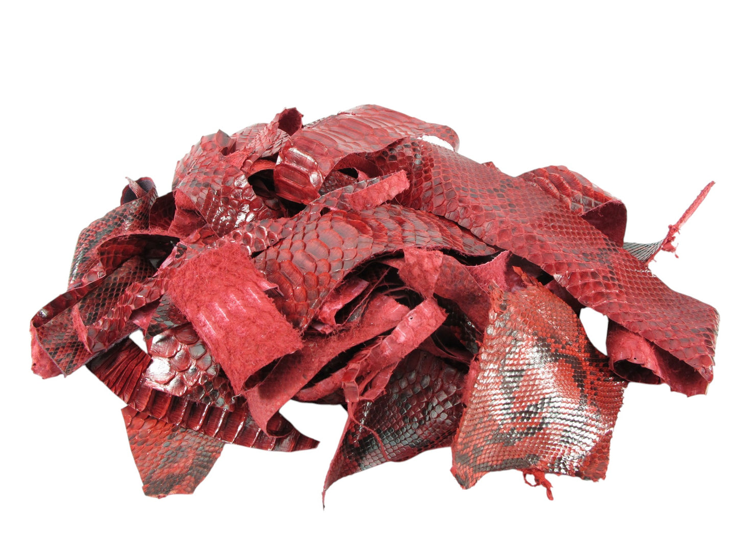 Genuine Python Snake Skin Leather Scraps Hide Pelt 100 grams