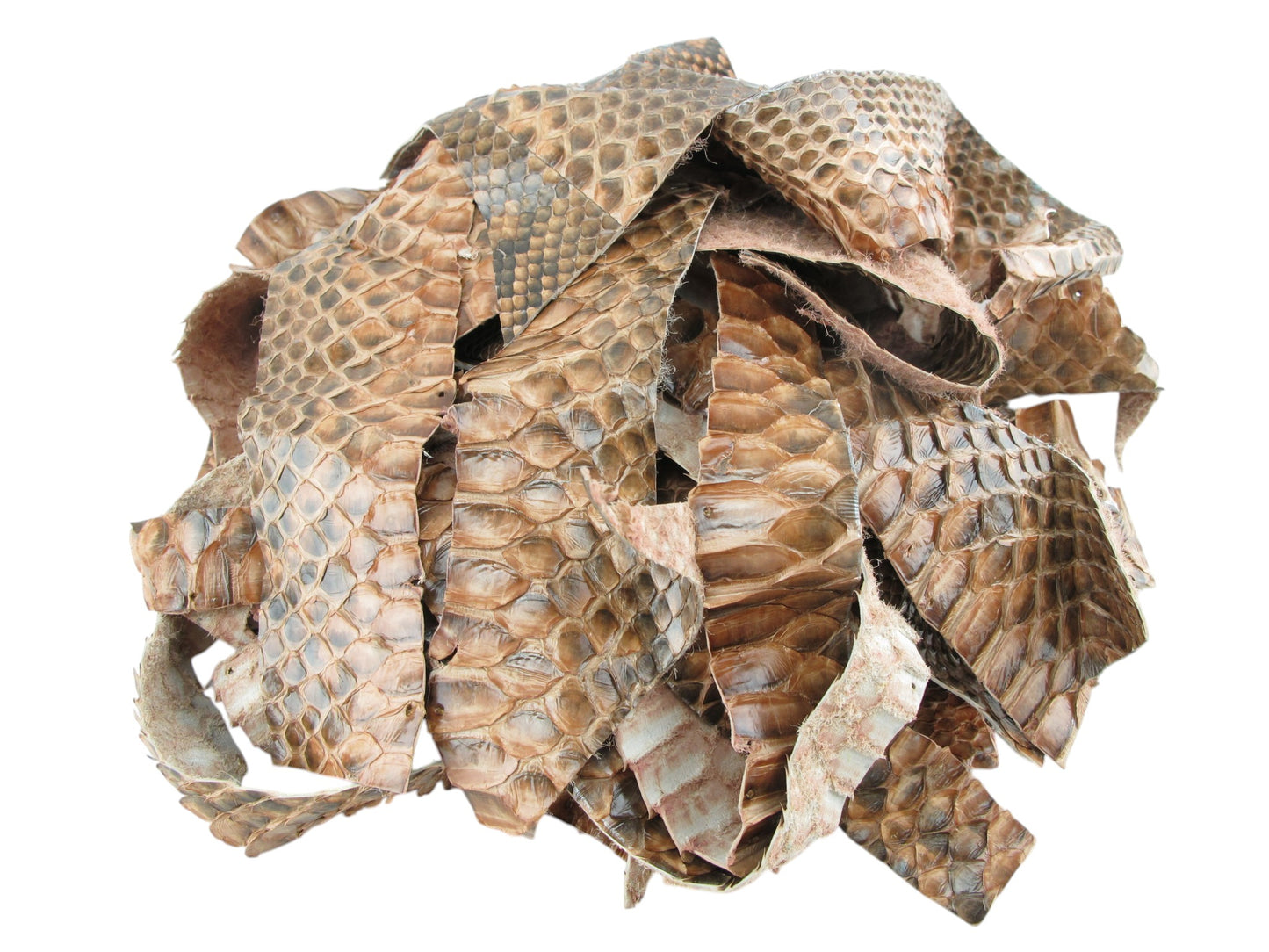 Genuine Python Snake Skin Leather Scraps Hide Pelt 100 grams