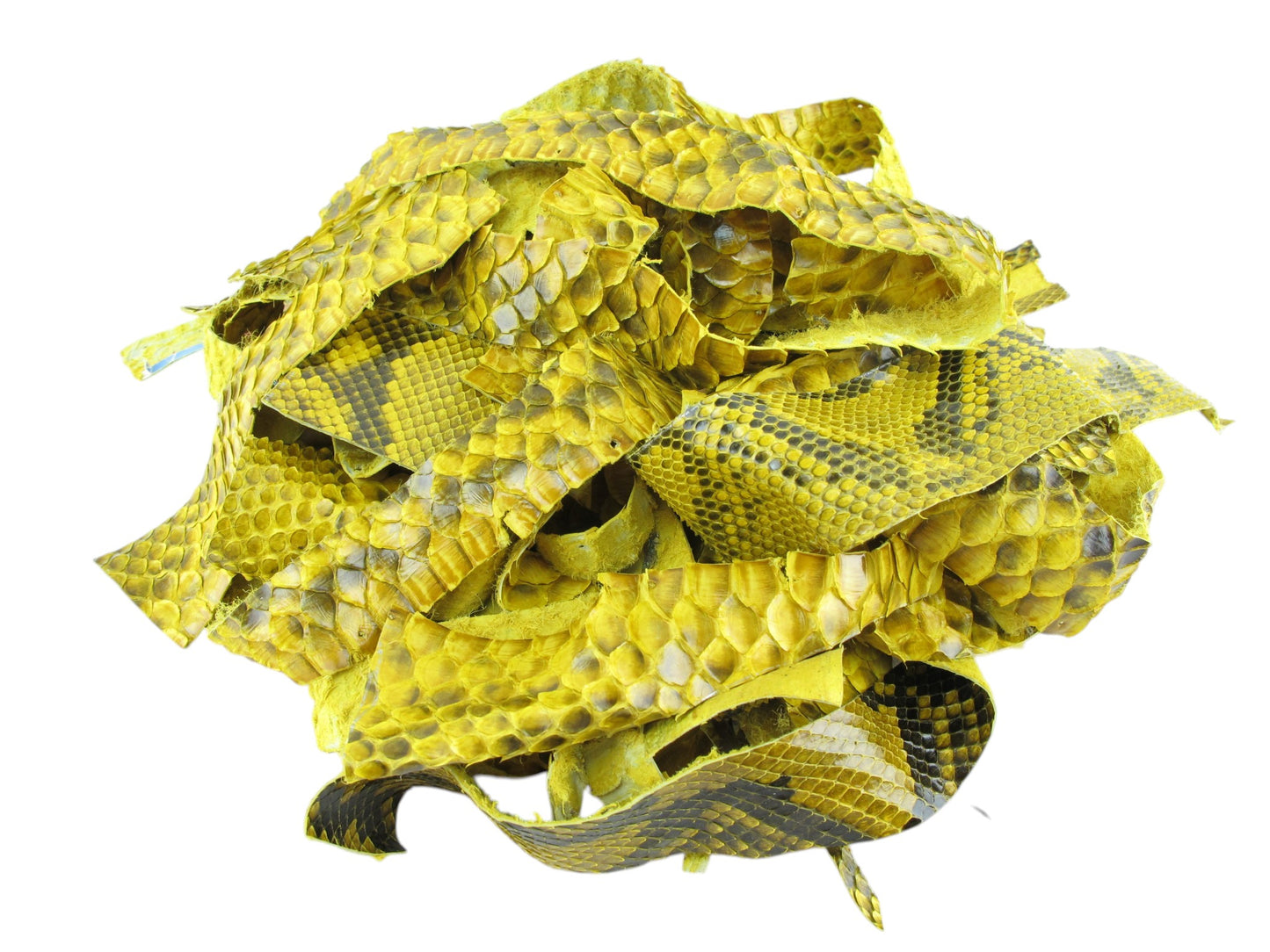 Genuine Python Snake Skin Leather Scraps Hide Pelt 100 grams