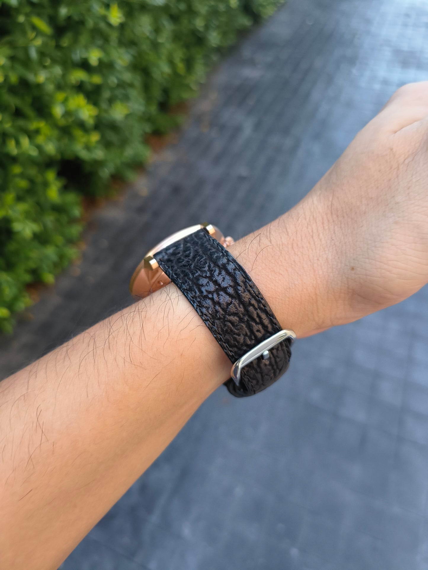 Genuine Shark Skin Leather Quick Release Watch Strap Black Band with Buckle