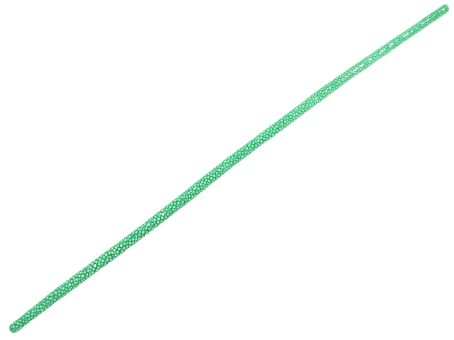 Genuine Polished Stingray Skin Leather Cord Green