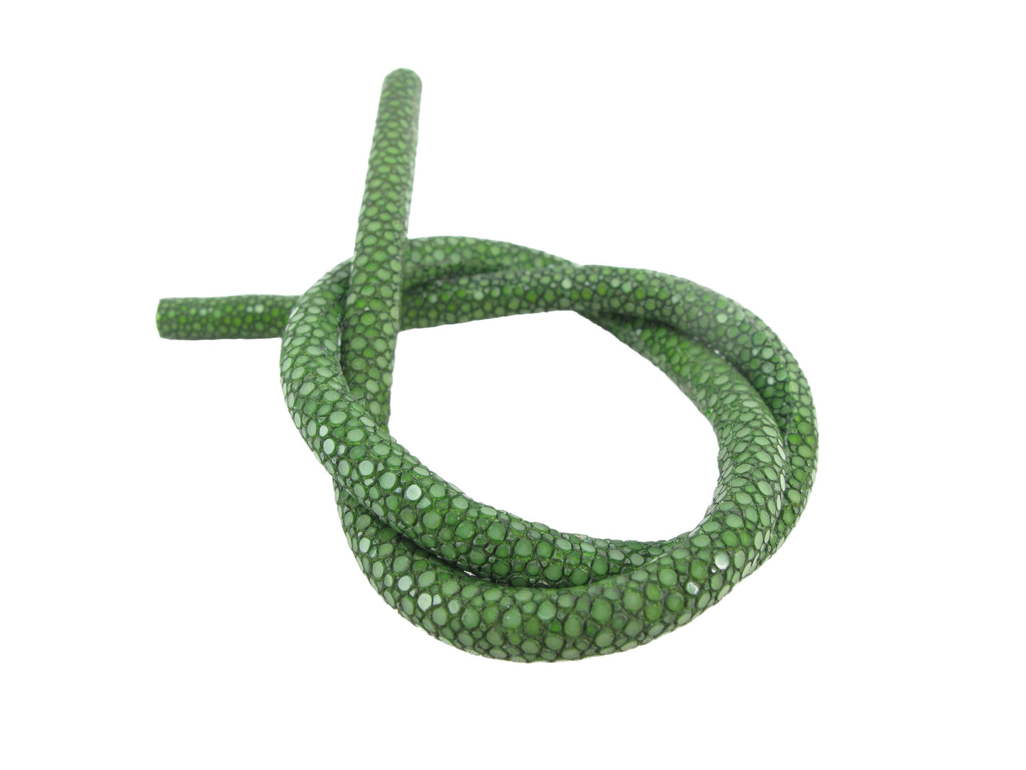 Genuine Polished Stingray Skin Leather Cord Green