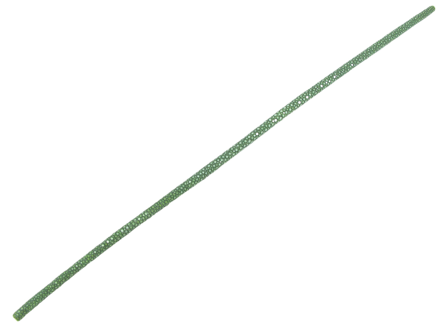 Genuine Polished Stingray Skin Leather Cord Green