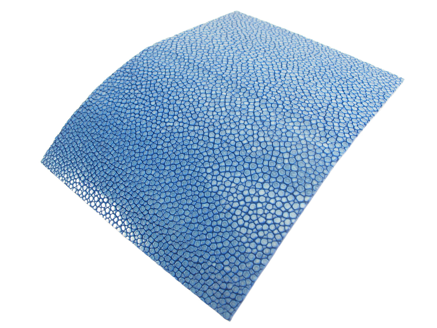 Genuine Polished Stingray Skin Magnetic Metal Business Card Holder Case