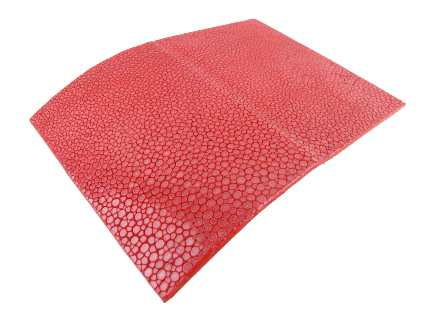 Genuine Polished Stingray Skin Magnetic Metal Business Card Holder Case